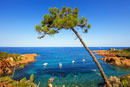 Discovery of frejus / saint-aygulf on the french riviera Var
