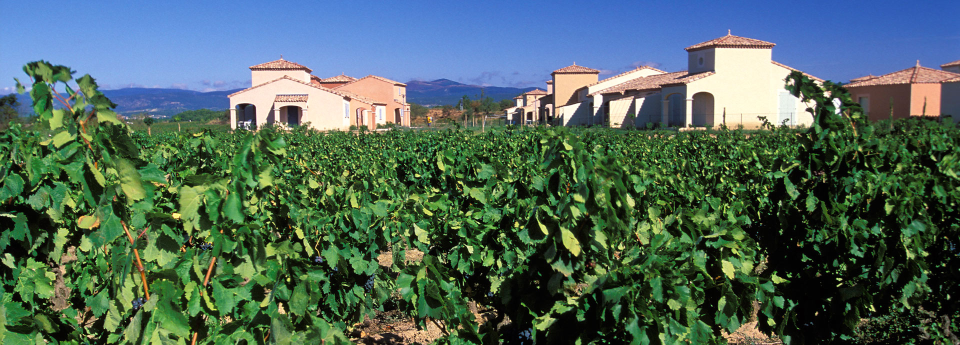 Homps in Languedoc-Roussillon in het hart van Pays Cathare: vakantie boeken in Aude