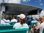 Les Calanques du Parc  Boat guided visit